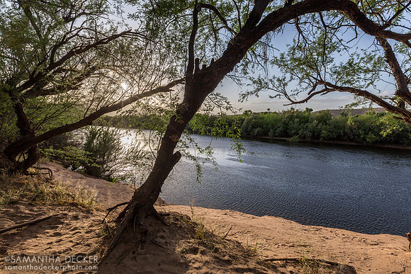 The Salt River at Sunset