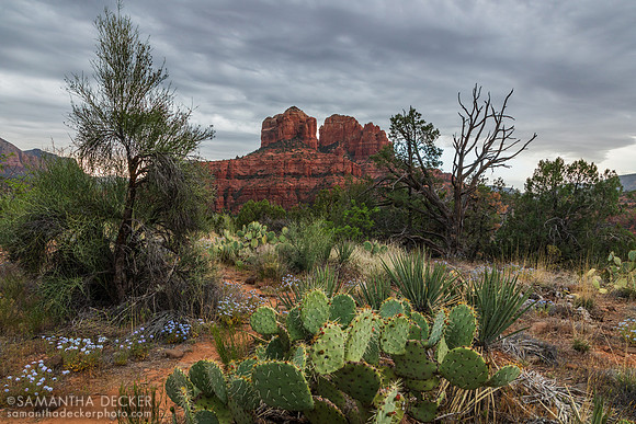 Secret Slickrock Trail, Sedona, AZ