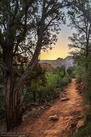 Trail to Airport Mesa, Sedona, AZ