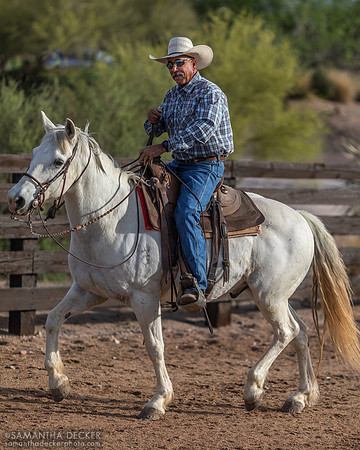 Wrangler, Rancho de los Caballeros, Wickenburg, AZ