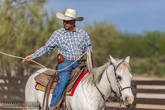 Wrangler, Rancho de los Caballeros, Wickenburg, AZ