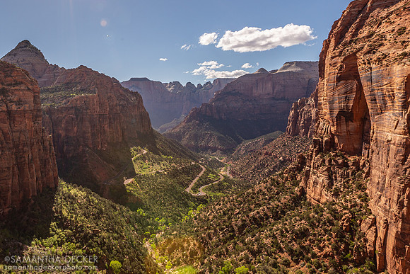 Canyon Overlook, Zion National Park