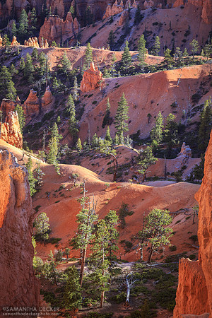 Bryce Canyon National Park, Utah