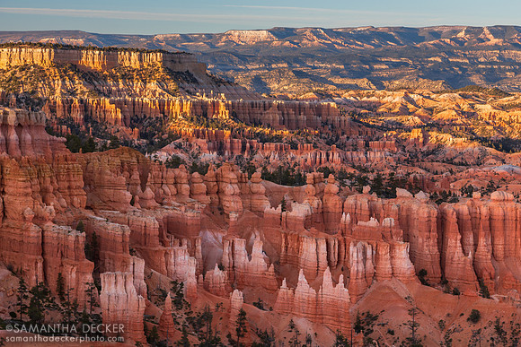 Evening in Bryce Canyon