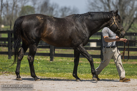 Temple City, Spendthrift Farm
