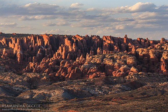 Hoodoos, Arches National Park