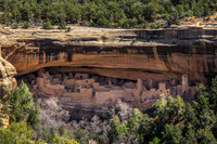 Cliff Palace from Across the Canyon