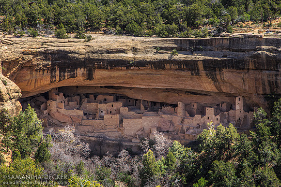 Cliff Palace from Across the Canyon