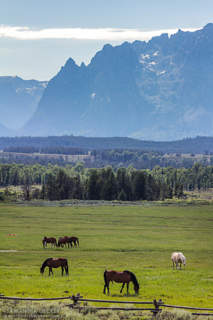 Grand Teton National Park