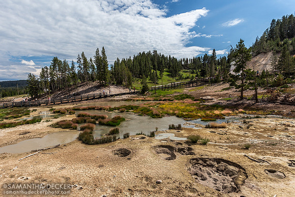 Geyser Basin, Yellowstone National Park