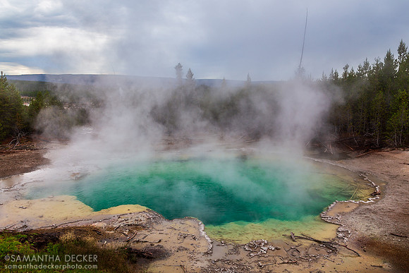 Hot Spring Near Steamboat Spring, Yellowstone National Park