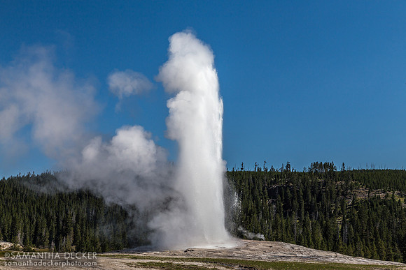 Old Faithful Geyser, Yellowstone National Park