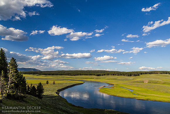 Hayden Valley, Yellowstone National Park, Wyoming