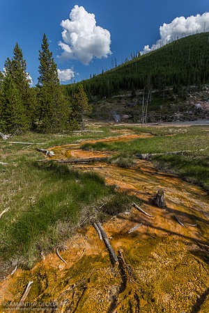 Geyser Basin, Yellowstone National Park