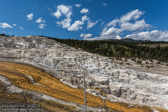 Mammoth Hot Springs, Yellowstone National Park