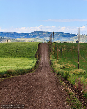 Swan Valley, ID