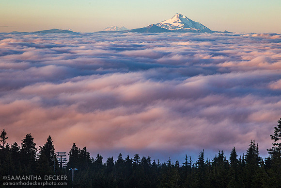 The View from the Timberline Lodge