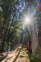 Trail of the Shadows, Mt. Rainier National Park