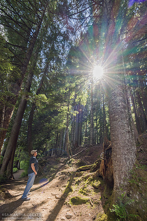 Trail of the Shadows, Mt. Rainier National Park