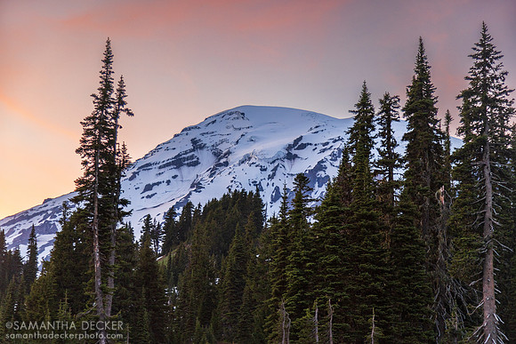 Mt. Rainier at Sunset