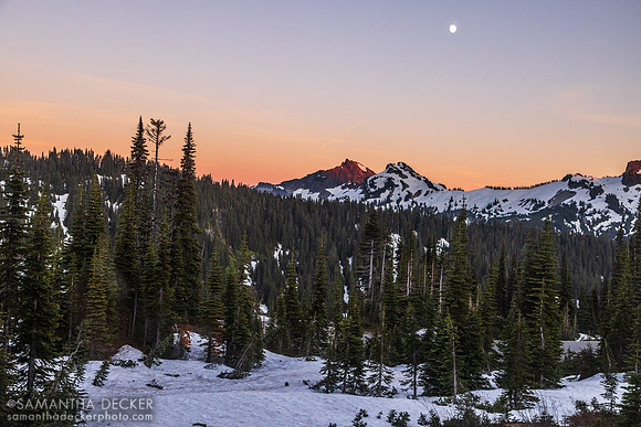Tatoosh Mountains, Mt. Rainier National Park