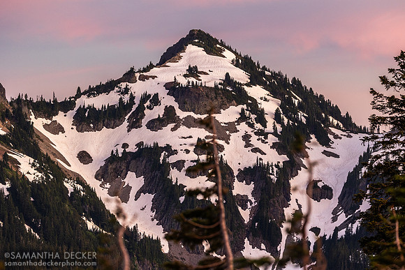 Tatoosh Mountains, Mt. Rainier National Park