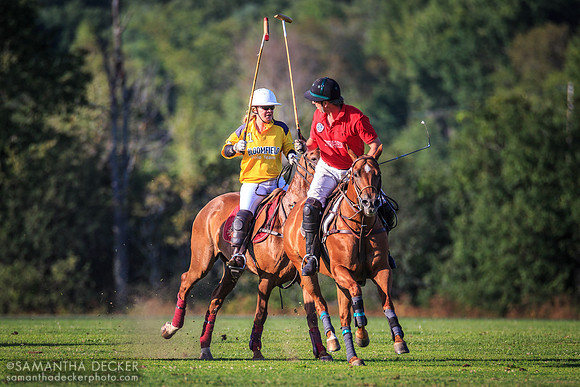 Saratoga Polo Association