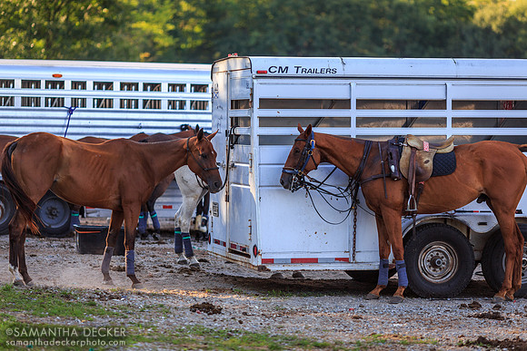 Saratoga Polo Association