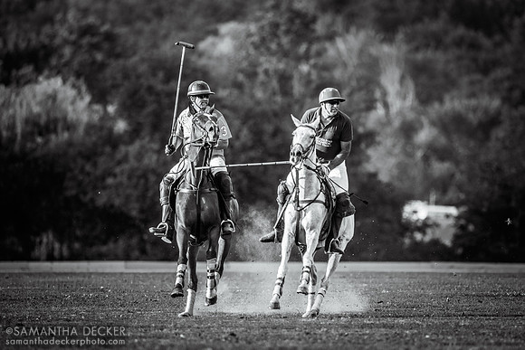 Saratoga Polo Association