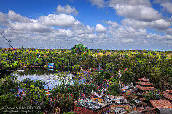 View from Expedition Everest, Disney's Animal Kingdom