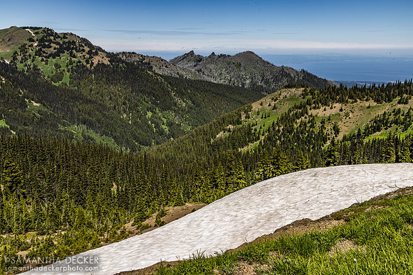 Hurricane Ridge, Olympic National Park
