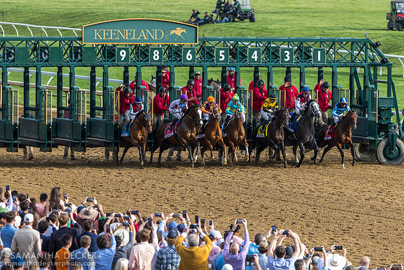 Start of the 2026 Grade I Blue Grass Stakes