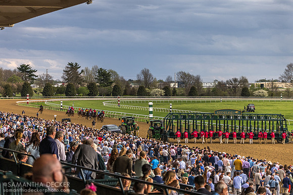 Horses heading to the post for the 2026 Grade I Blue Grass Stakes