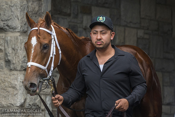 Further Ado wins the 2025 Grade I Blue Grass Stakes