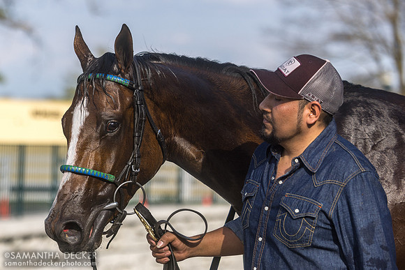 Percy's Bar wins the 2026 Grade I Ashland Stakes