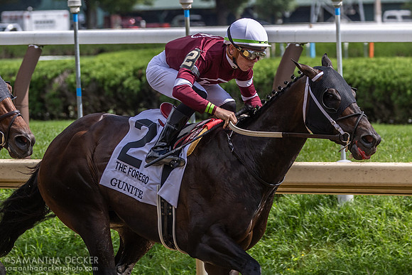 Gunite wins the Grade I Forego Stakes