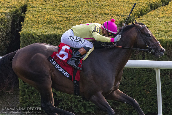 Zulu Kingdom wins the 2026 Grade I Maker's Mark Mile Stakes