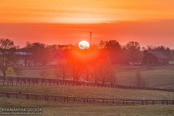 Sunrise at Denali Stud, Paris, KY