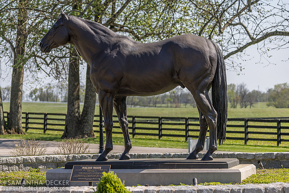 Malibu Moon, Spendthrift Farm, 2026