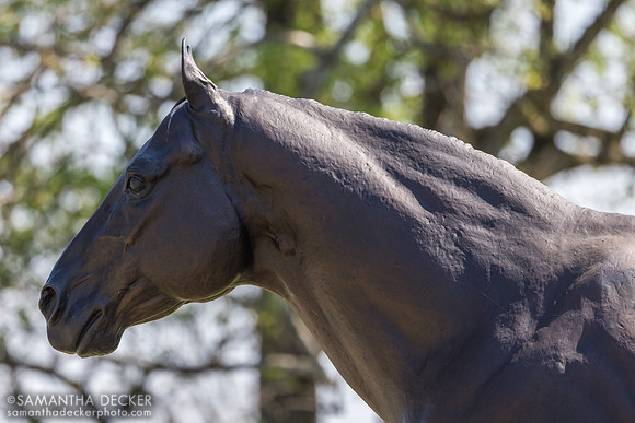 Malibu Moon, Spendthrift Farm, 2026