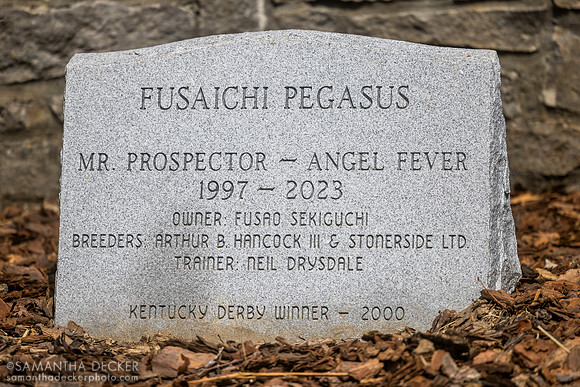 Fusaichi Pegasus grave, Coolmore at Ashford Stud, 2026