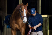 Justify, Coolmore at Ashford Stud, 2026