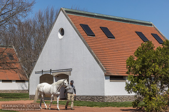 Tapit, Gainesway Farm