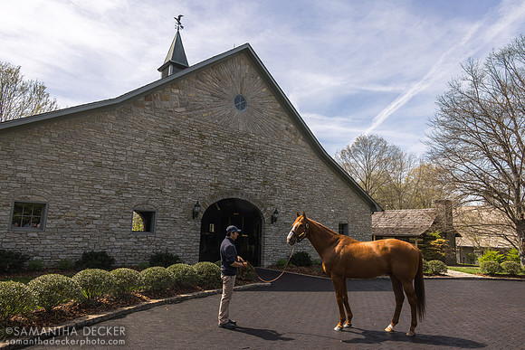 Justify, Coolmore at Ashford Stud, 2026