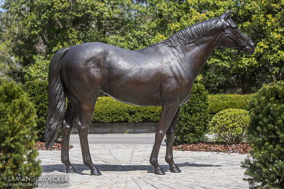 Giant's Causeway, Coolmore at Ashford Stud, 2026