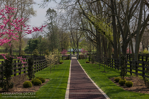 Spring at Spendthrift Farm, 2025