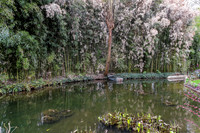 Gardens of Claude Monet, Giverny, France,  2012