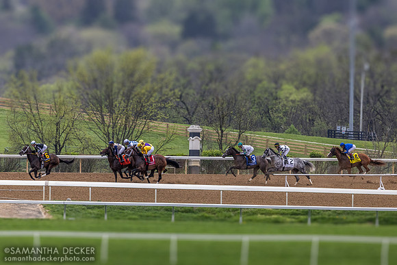 2026 Grade I Madison Stakes