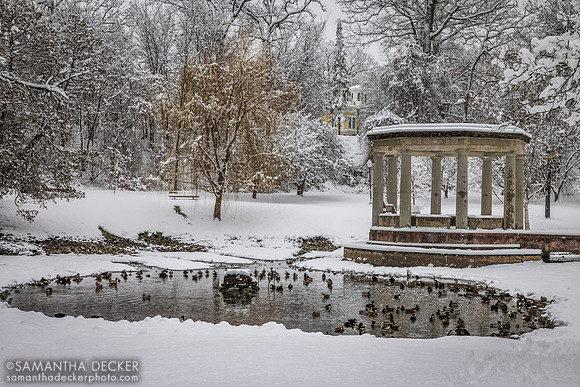 Congress Park