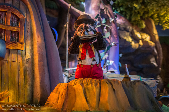 Splash Mountain, Magic Kingdom